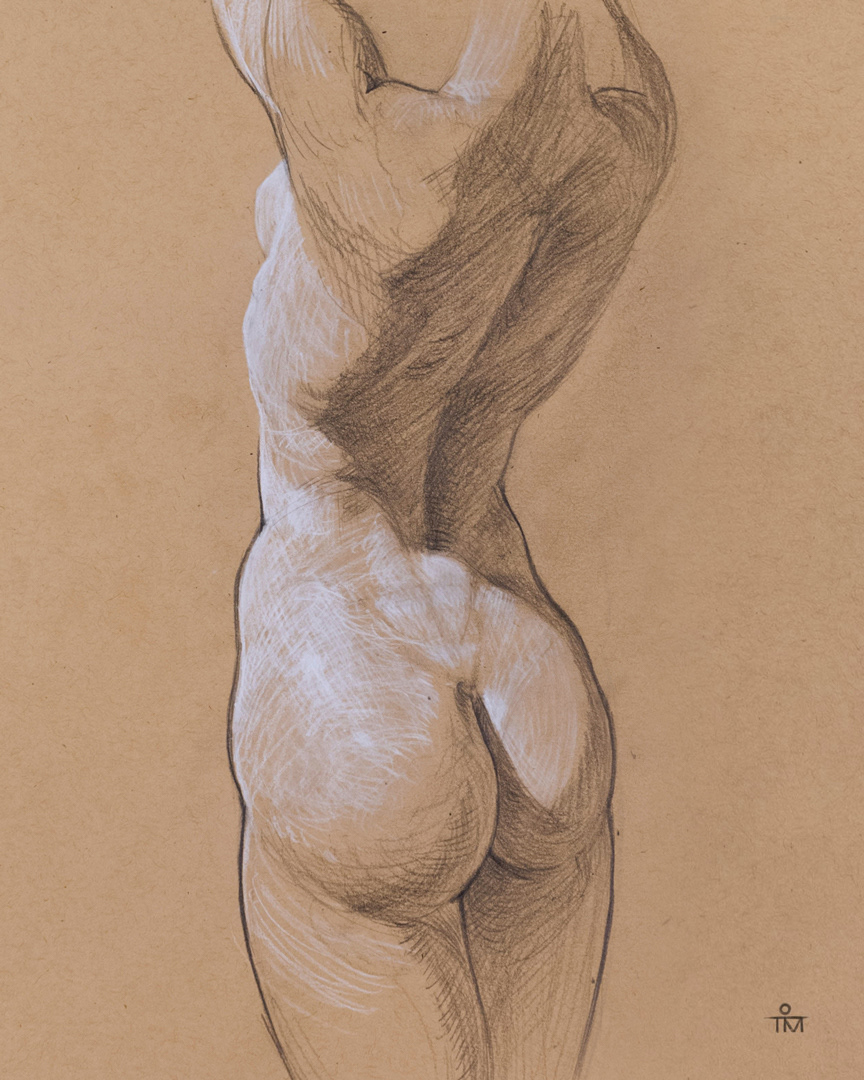 Torso Study b