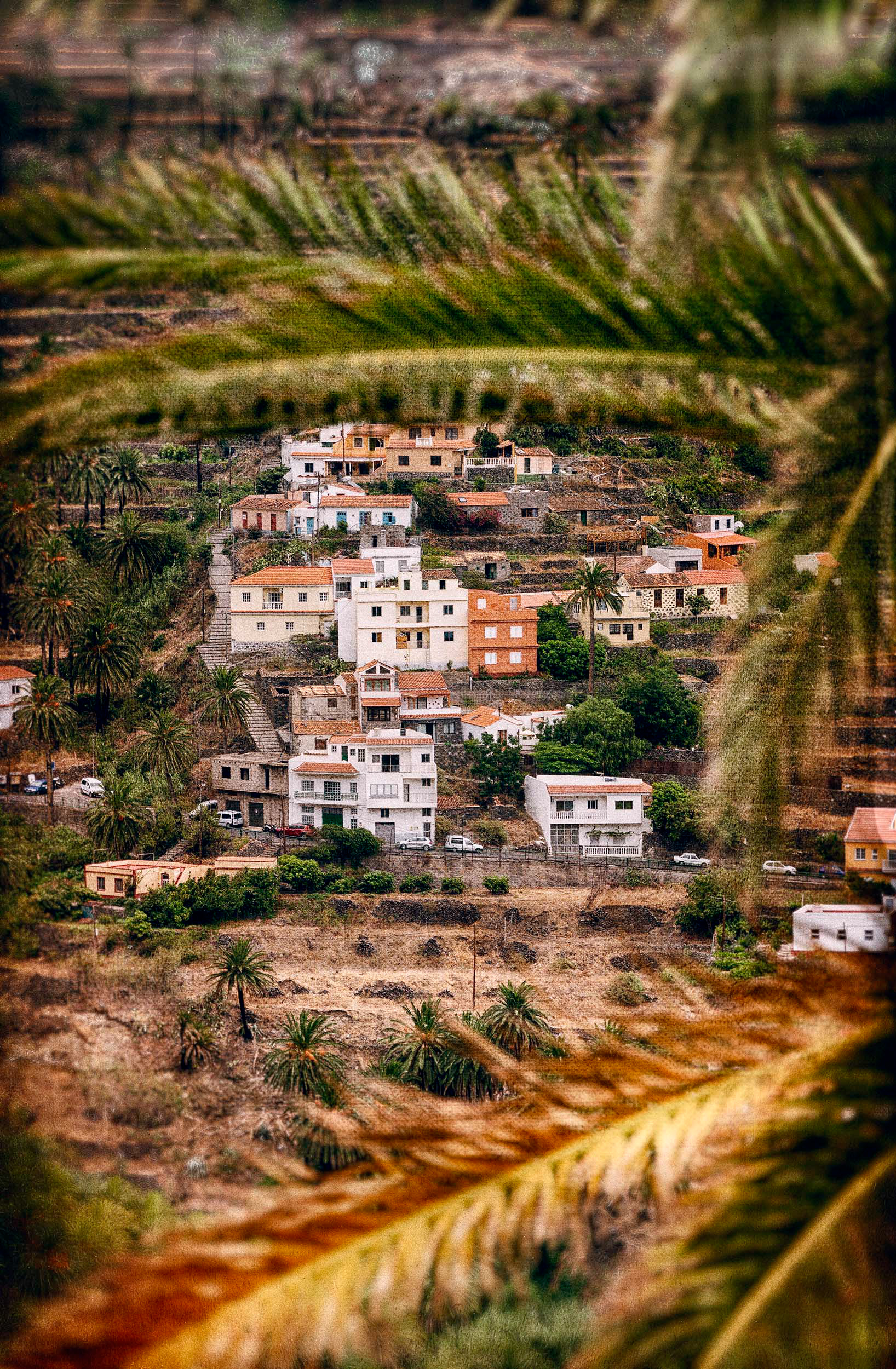 Blick durch Palmwedel auf ein Dorf auf La Gomera - Klaus Ohlenschläger