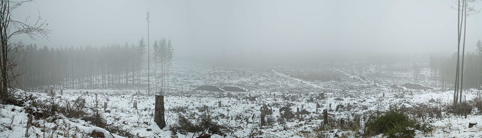 Panorama áufnahme eines kahlgeschlagenen Waldstückes Nähe Sandplacken mit Schnee im Dezember