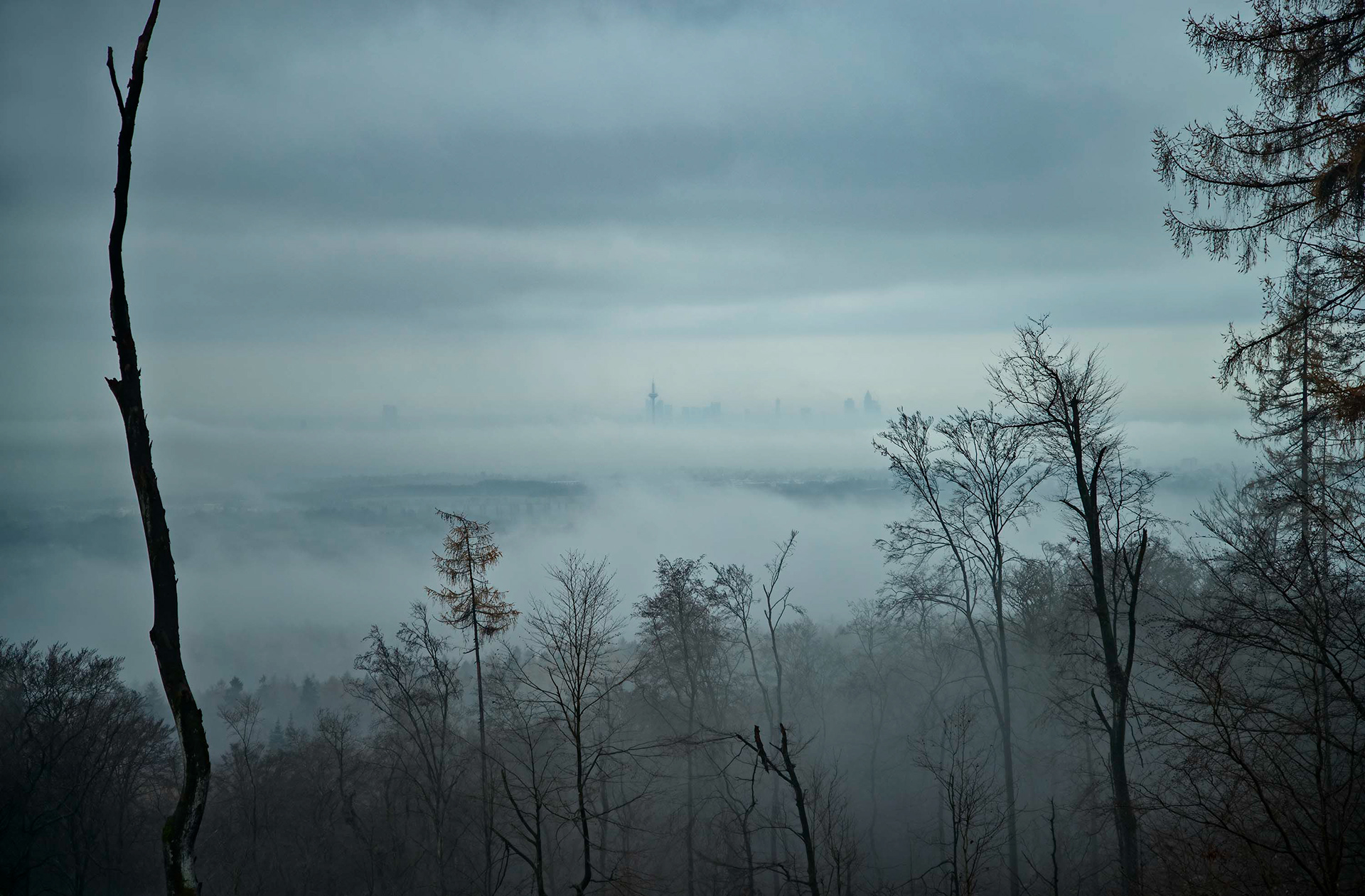 Blick aus der Nähe des Marmorstein auf die Skyline von Frankfurt