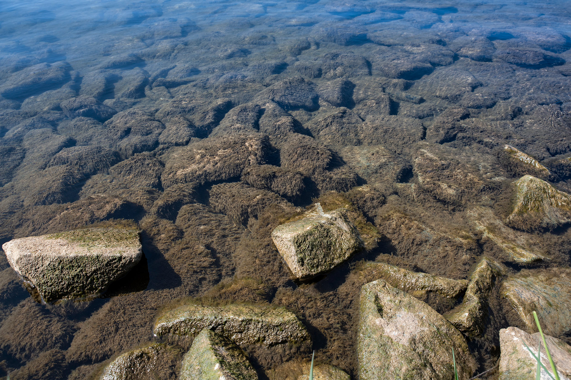 Ufer - Mainufer Hanau - ©Klaus Ohlenschläger