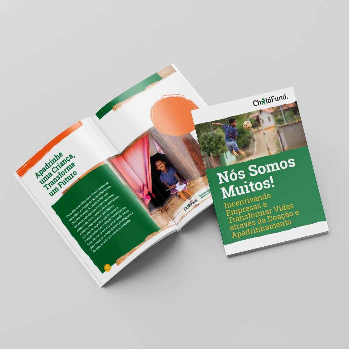 Revistas, Relatórios, Livros ou E-books