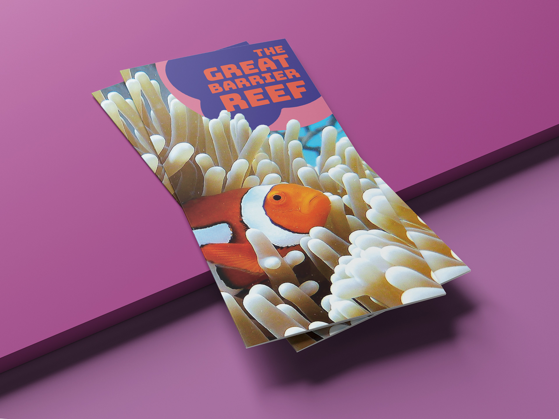 Great Barrier Reef Brochure Mockup #1 - Stock Images from Unsplash