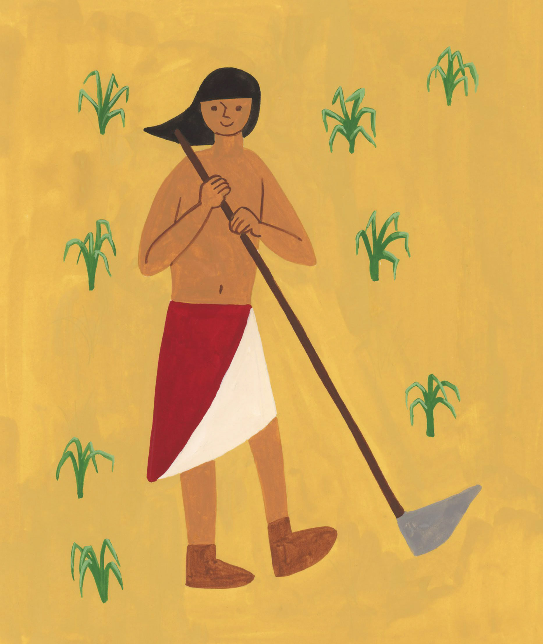 トウモロコシ畑