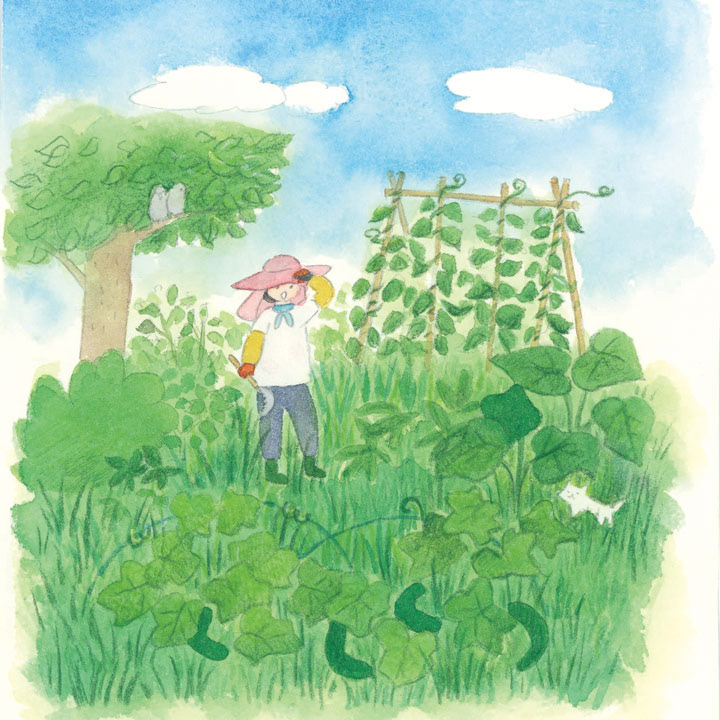 真夏の自然菜園は、雑草がすごいです