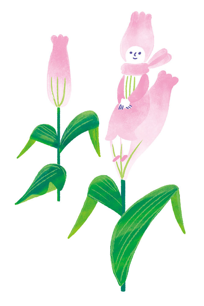 ユリの妖精さん