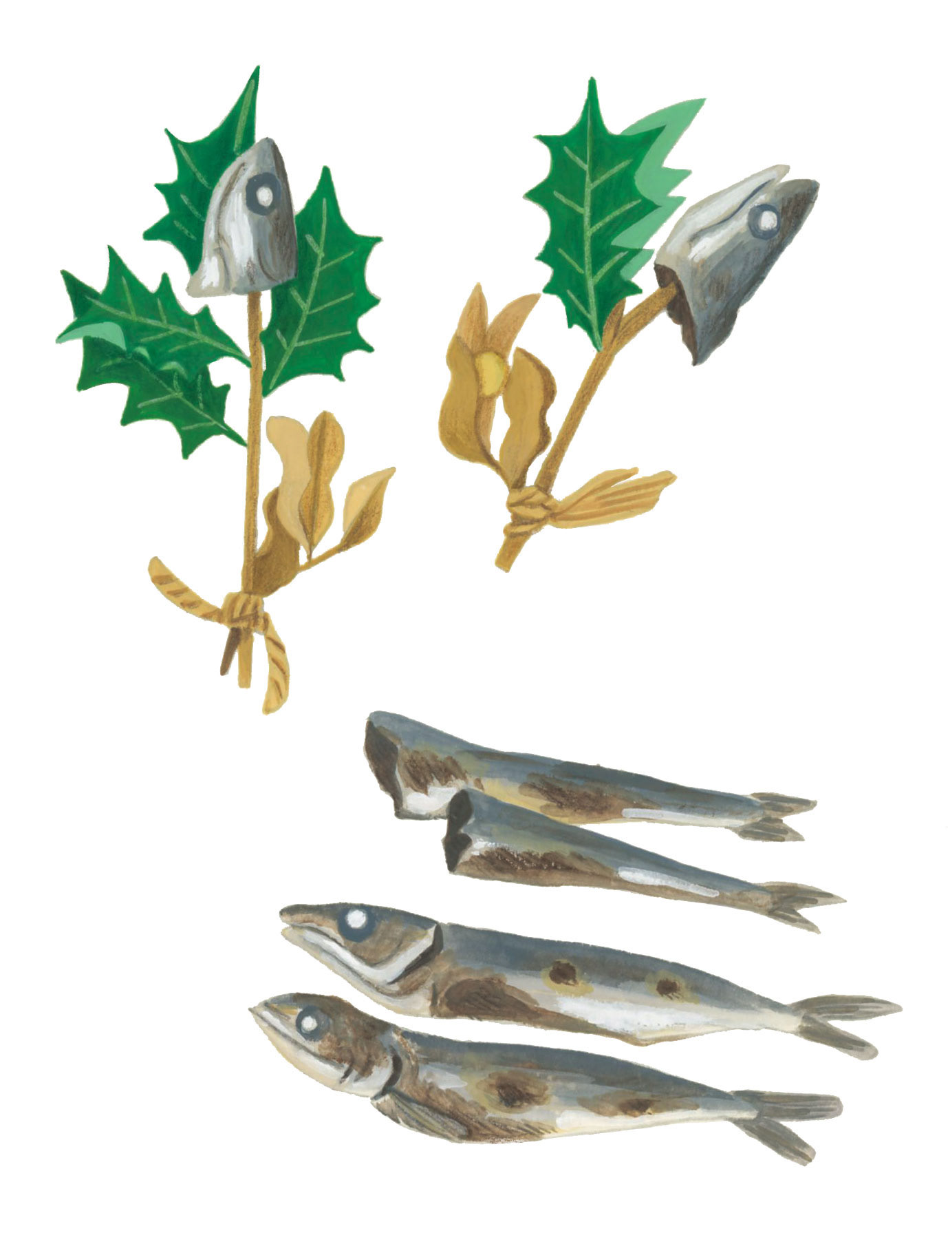 節分のヒイラギとイワシ