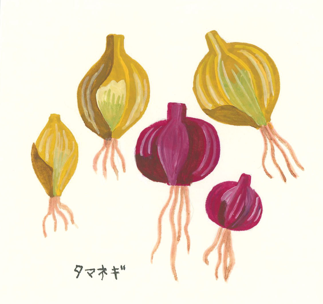 タマネギ