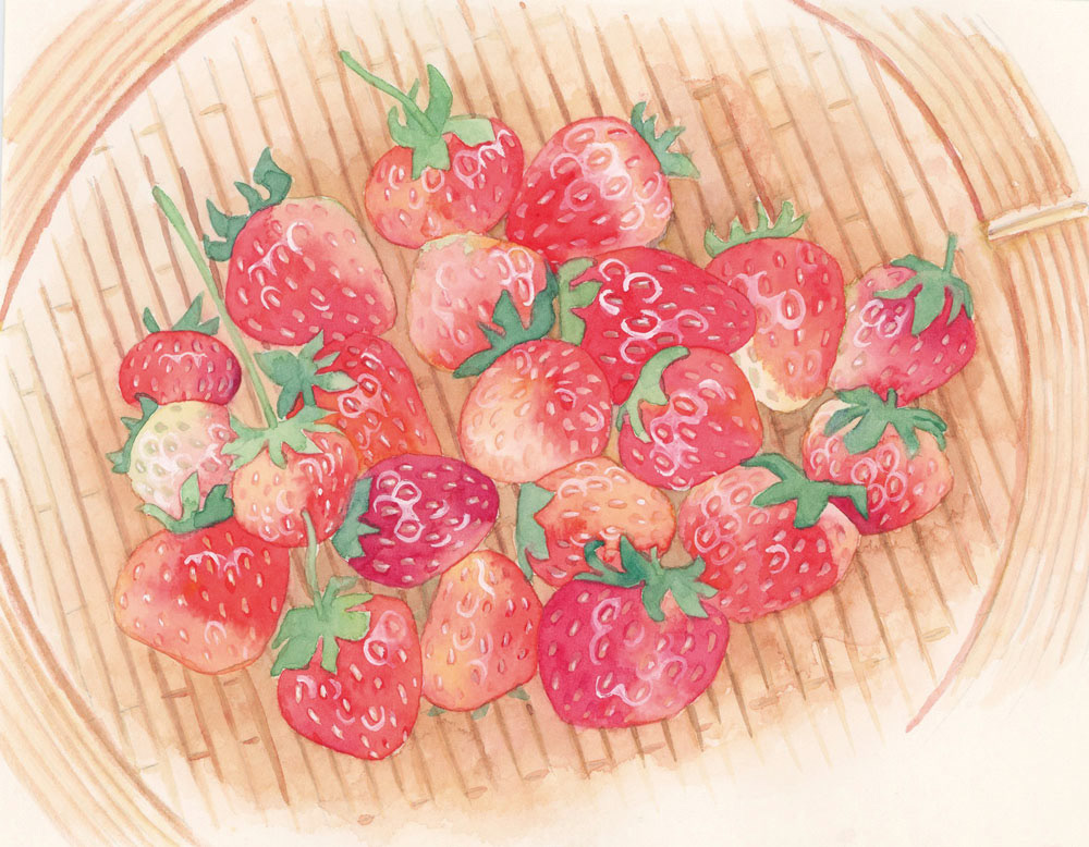 イチゴ収穫（水彩紙アルシュ極細目）