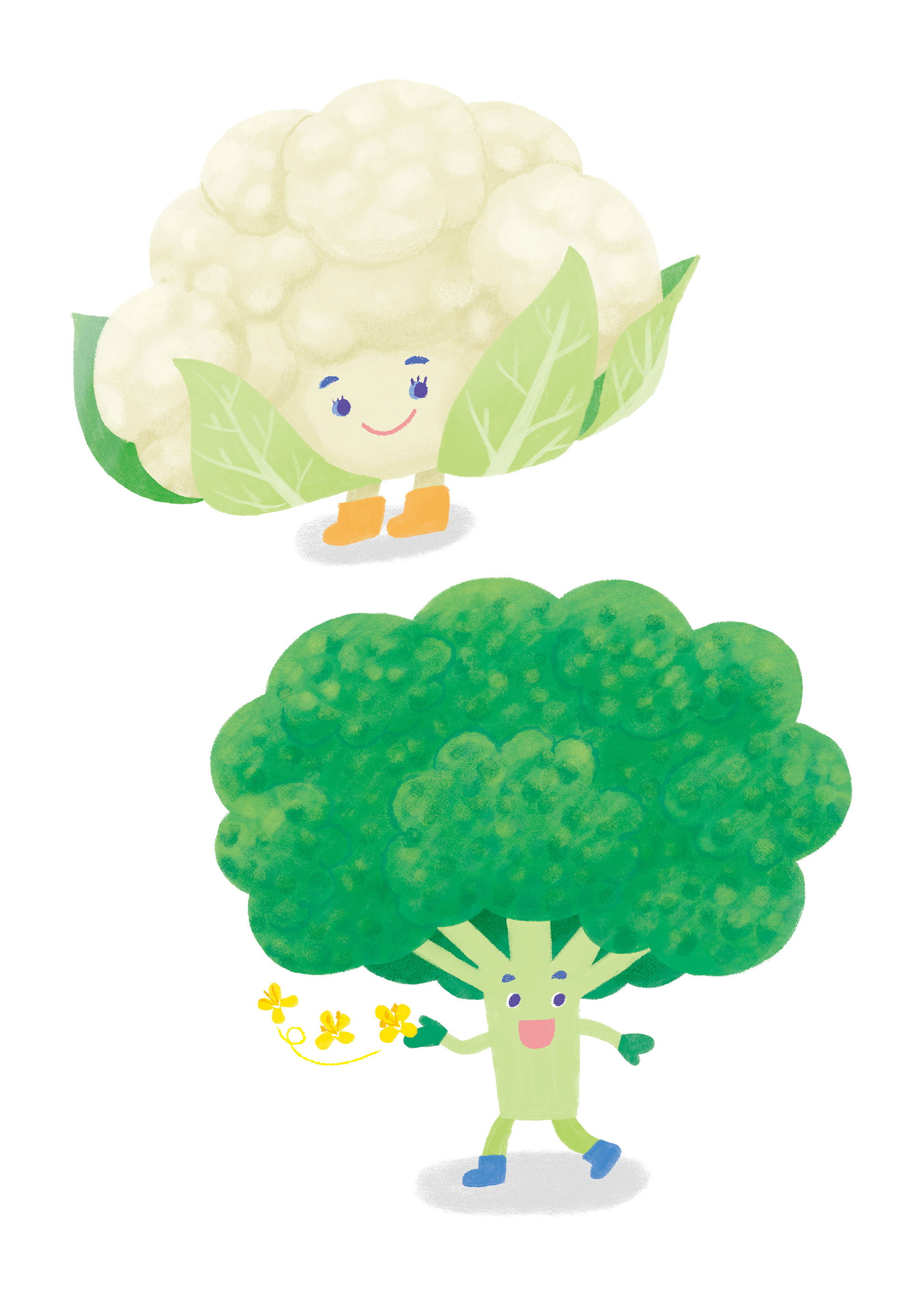 カリフラワーとブロッコリー