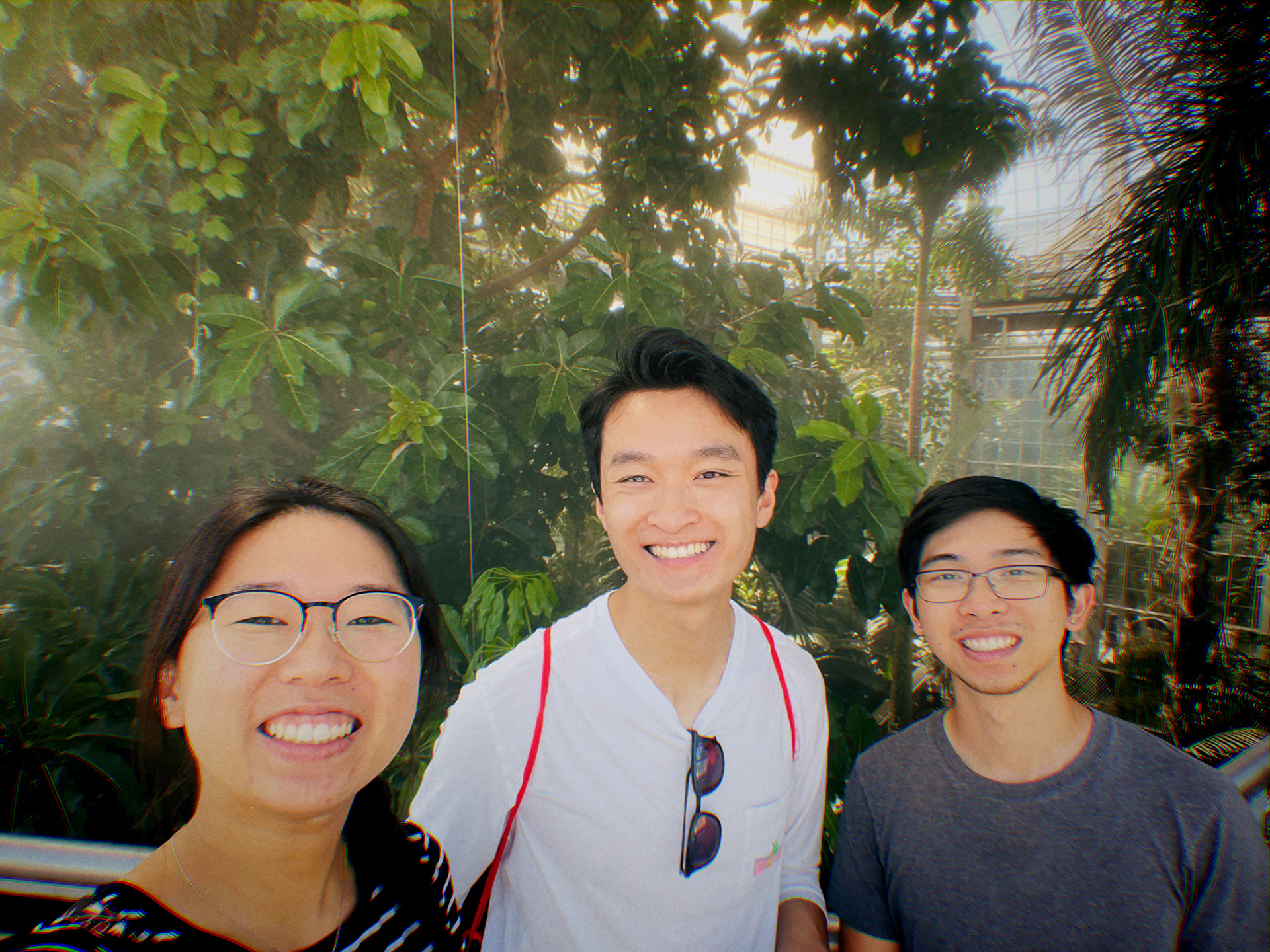 at the US Botanic Garden