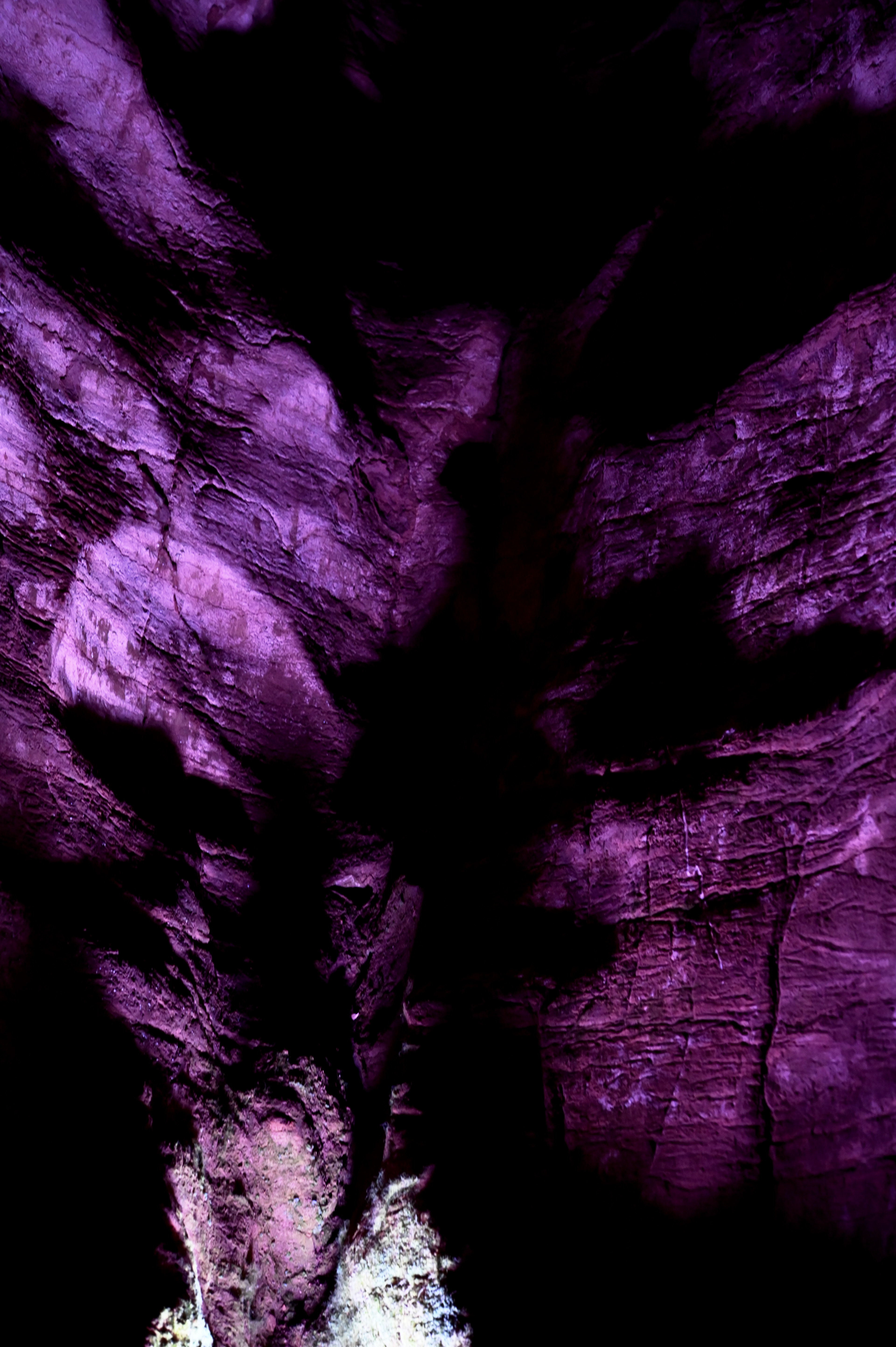 Nerfs à vifs - V. Machard - 2025