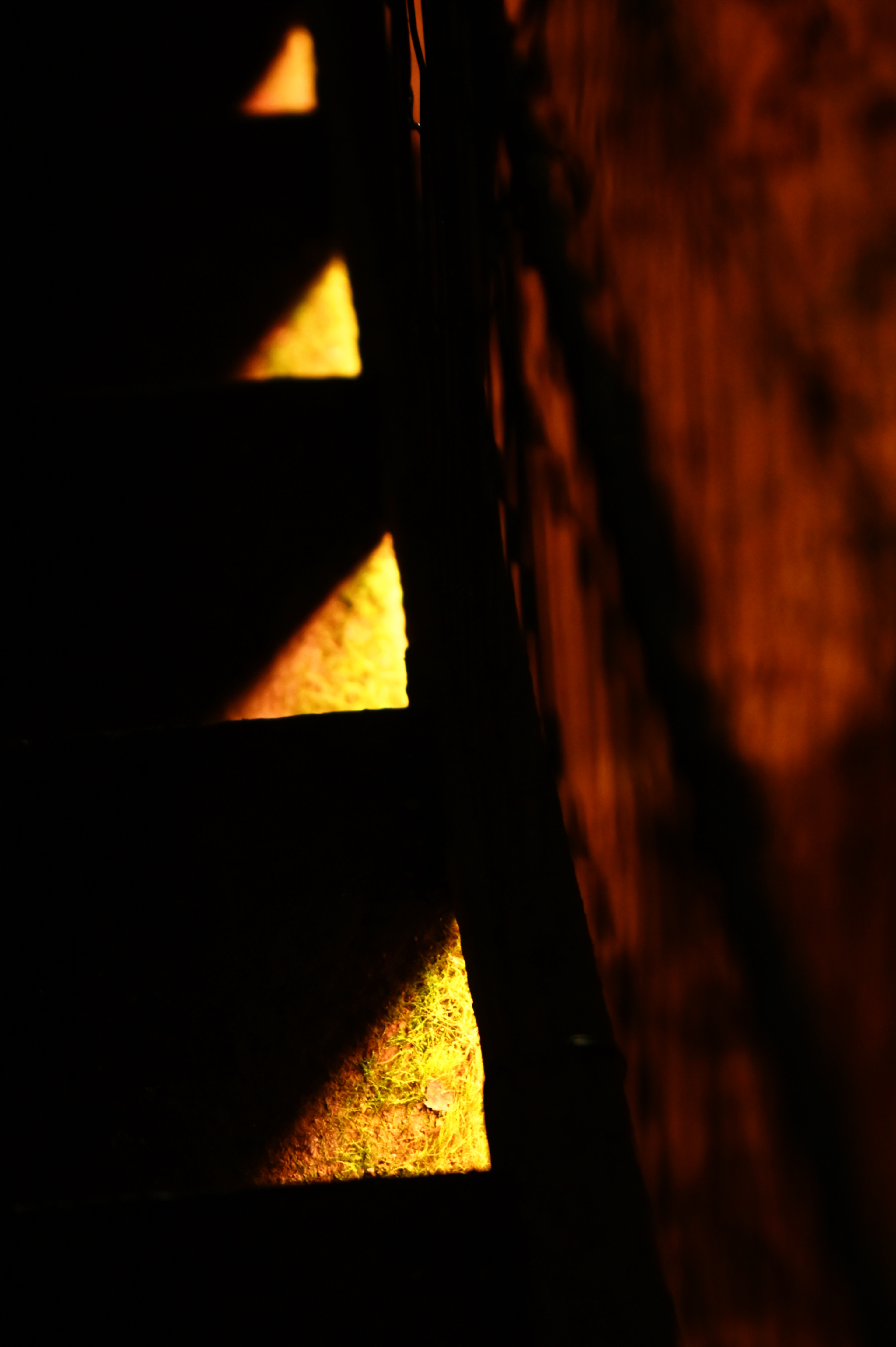 Pas d'humains - V. Machard - 2025