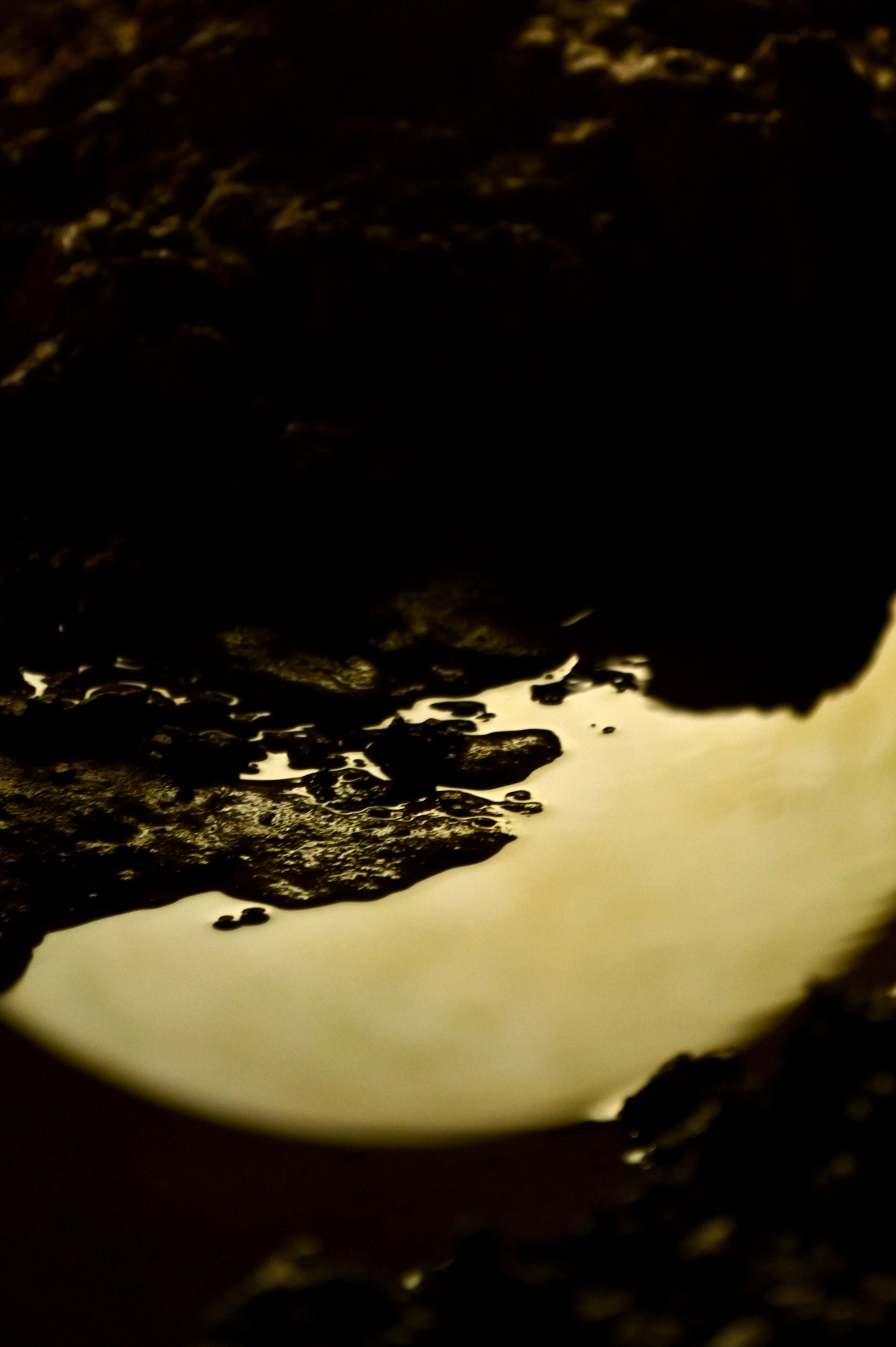 Nouvelles rives - V. Machard - 2025