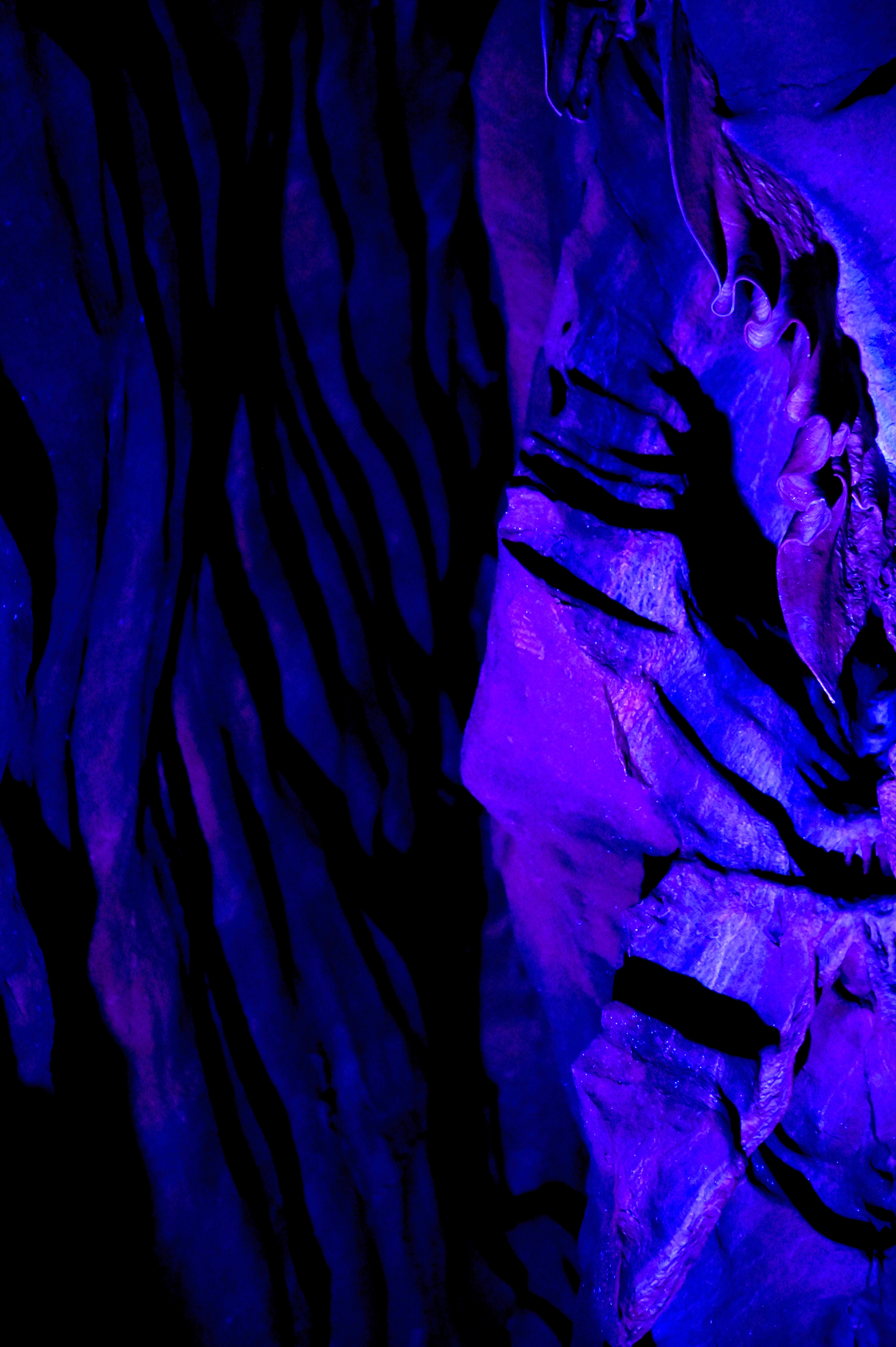 Le géant sommeille - V. Machard - 2025