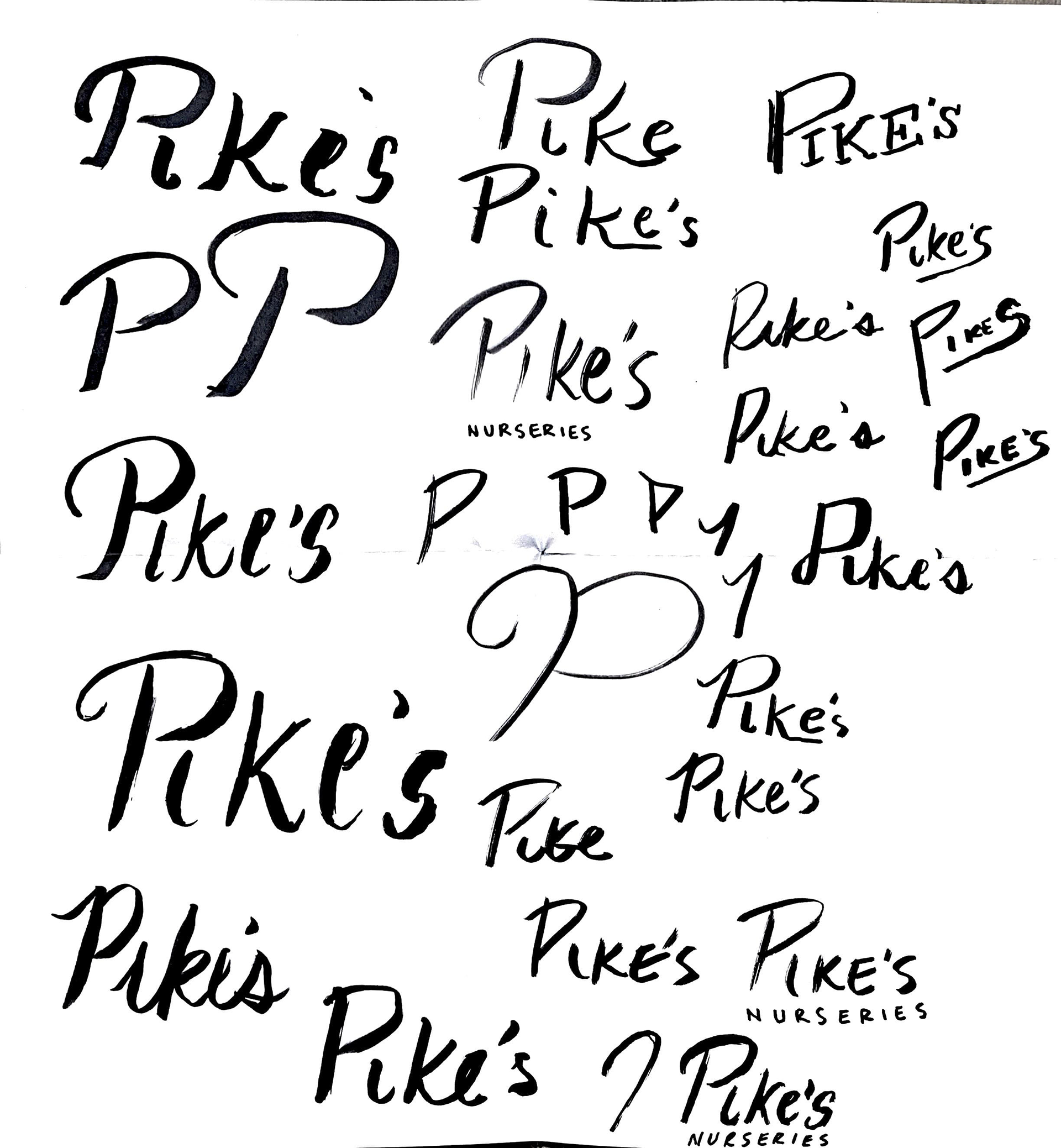 Type Exploration