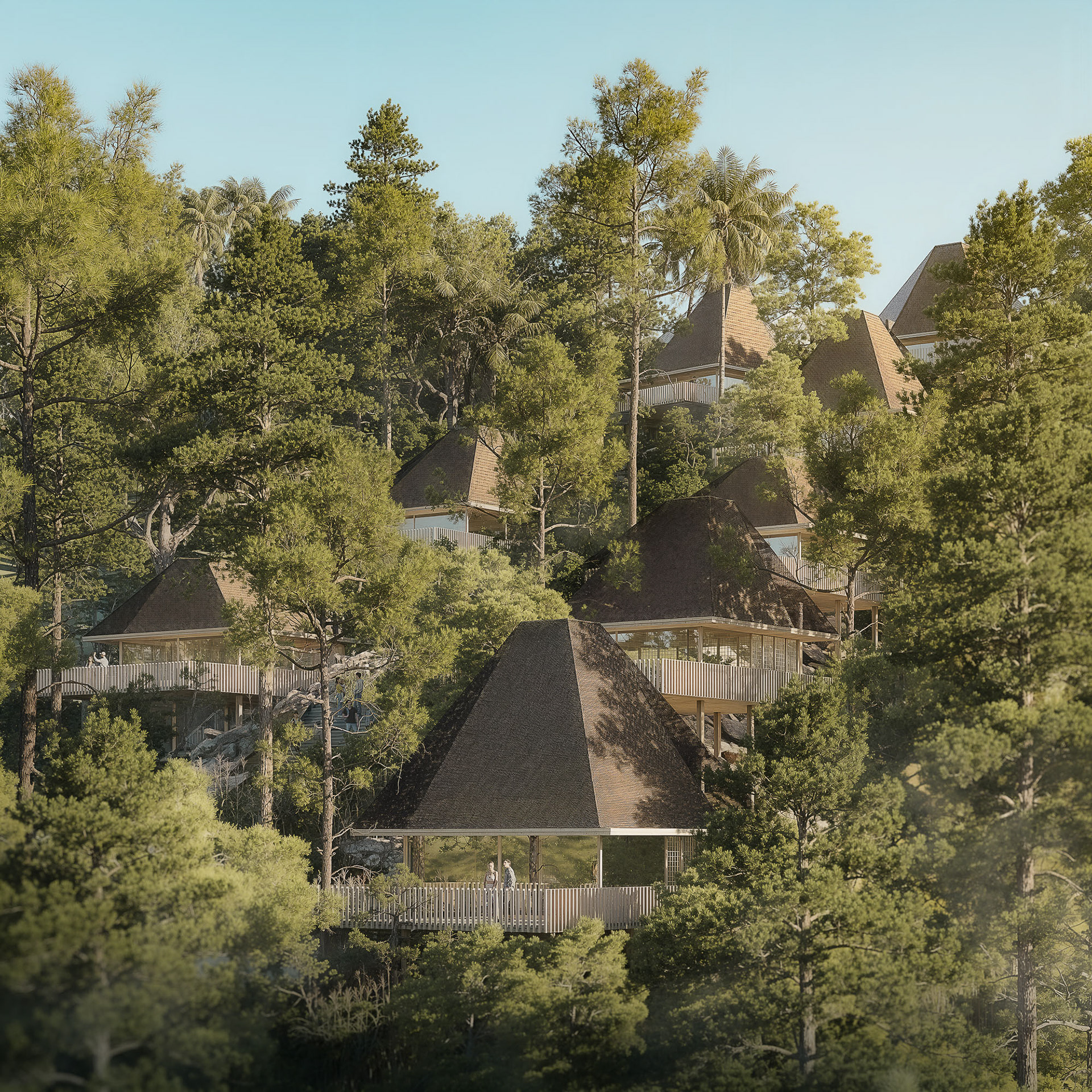 Visual by Plontur Group