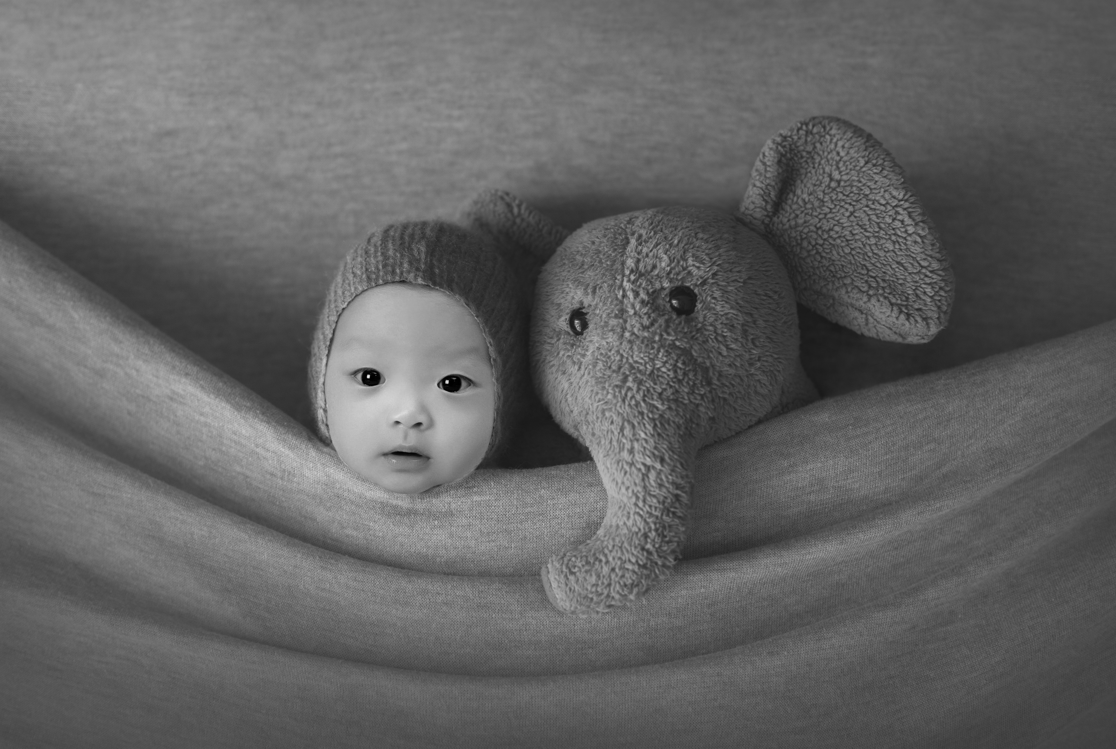 composite newborn photography