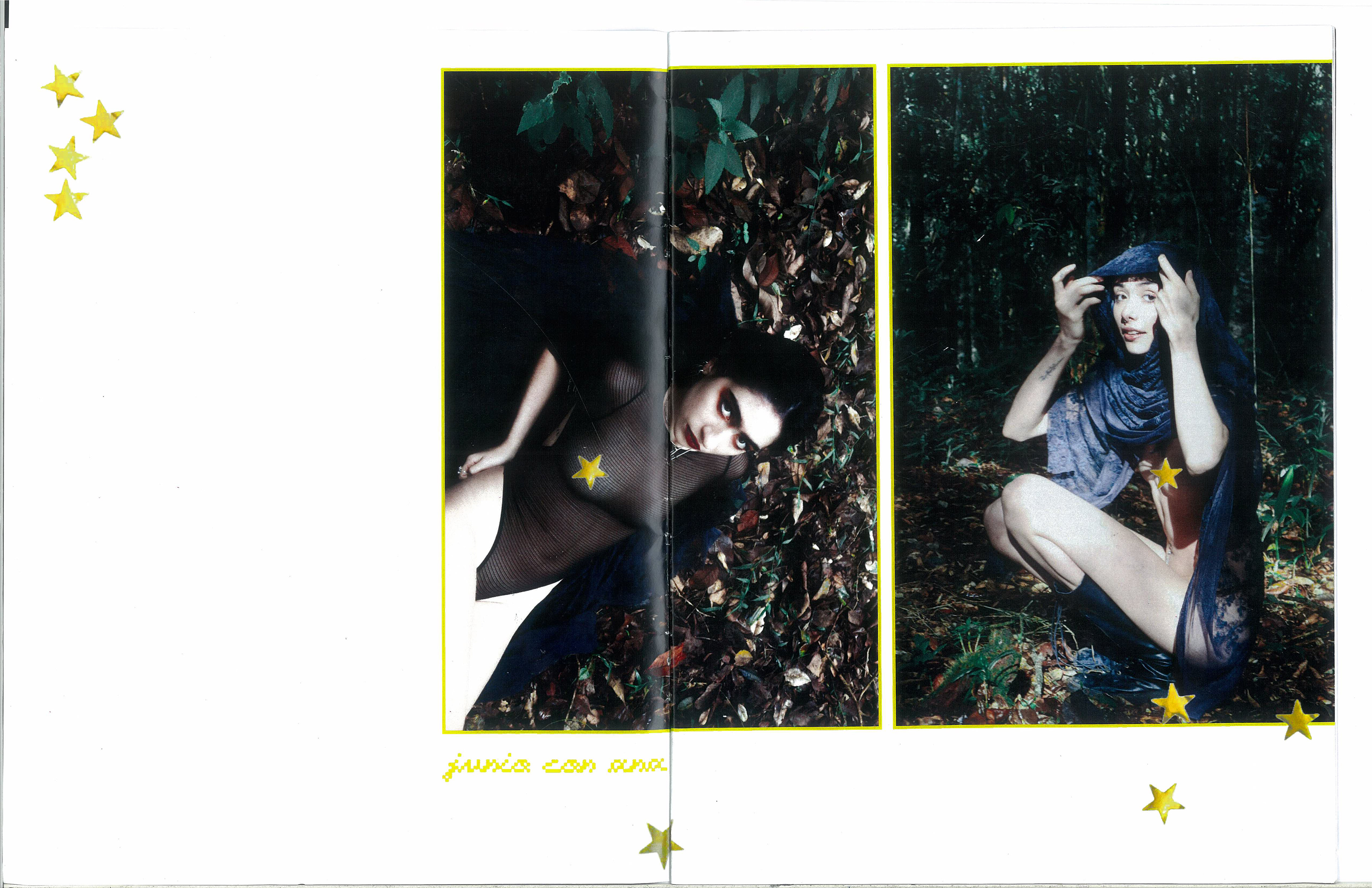 opening pages