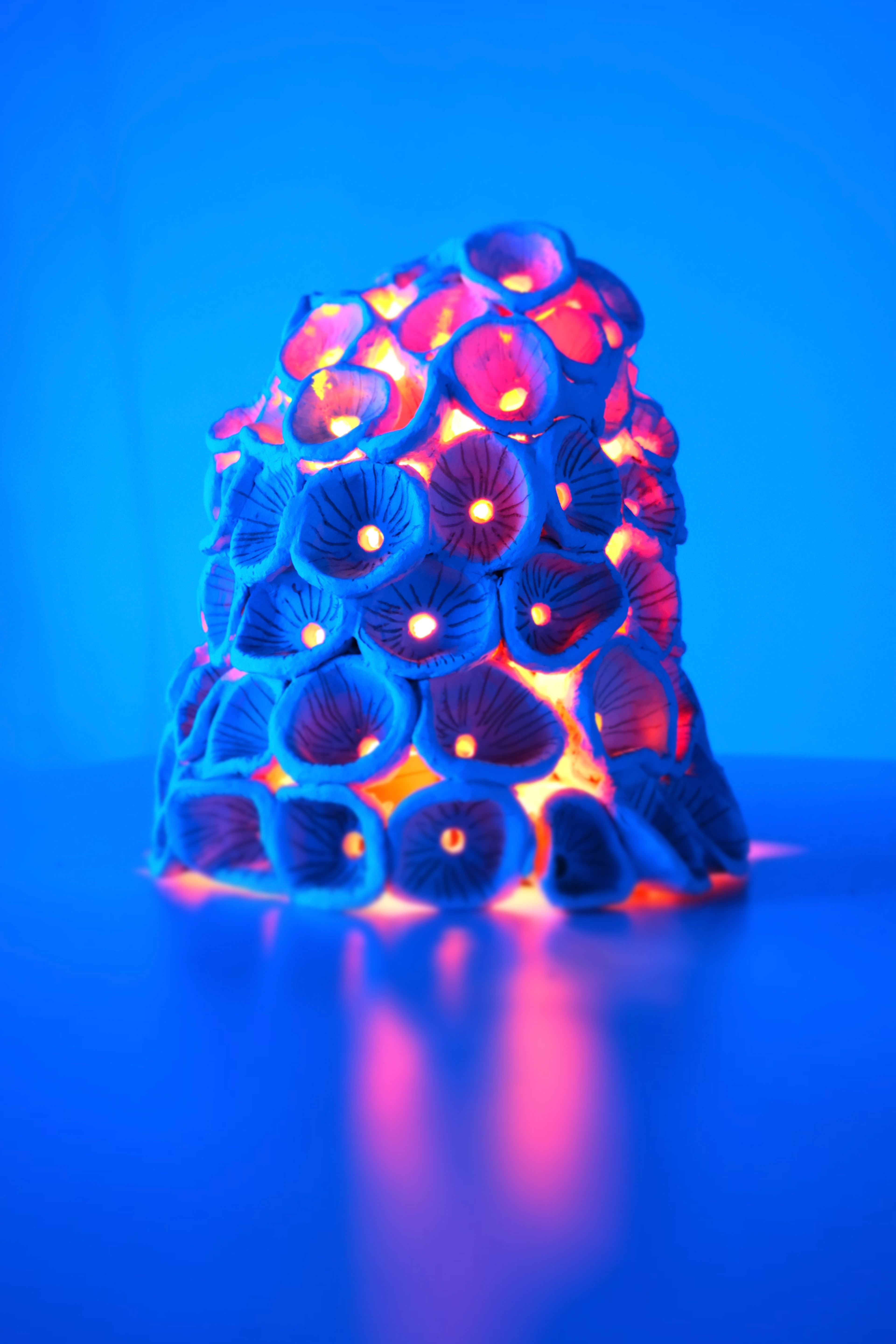 Photography, Scultpure