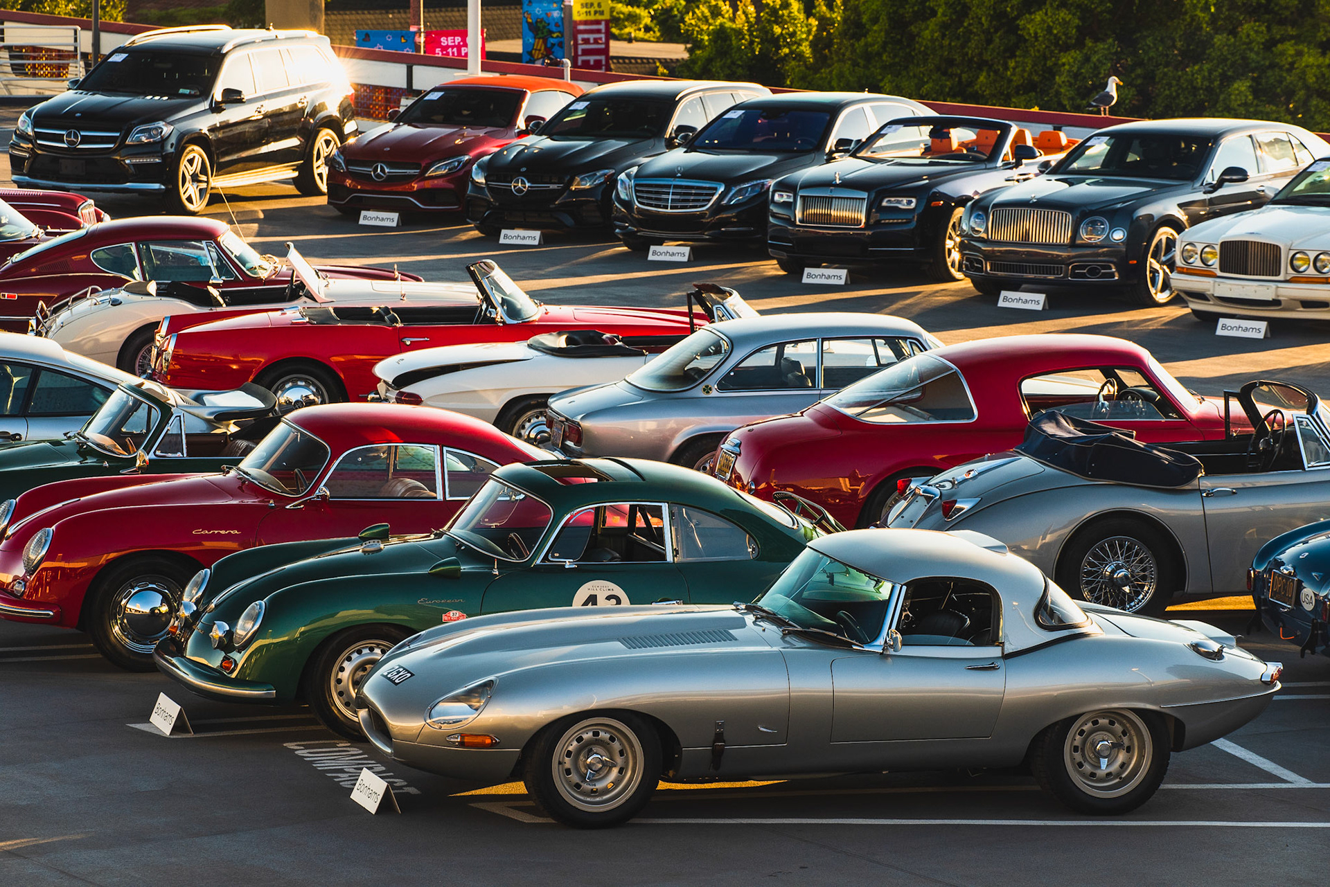 Collection of Classics