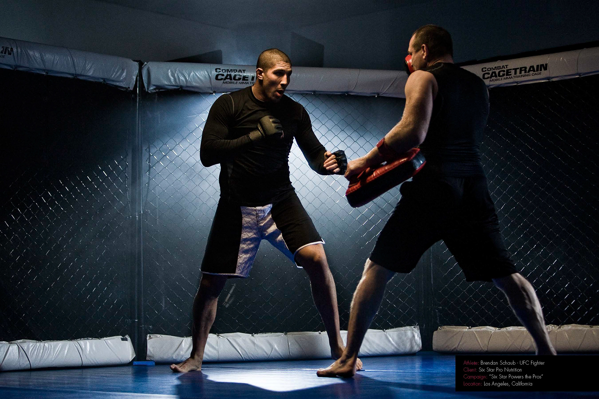 Brendan Schaub - UFC Fighter