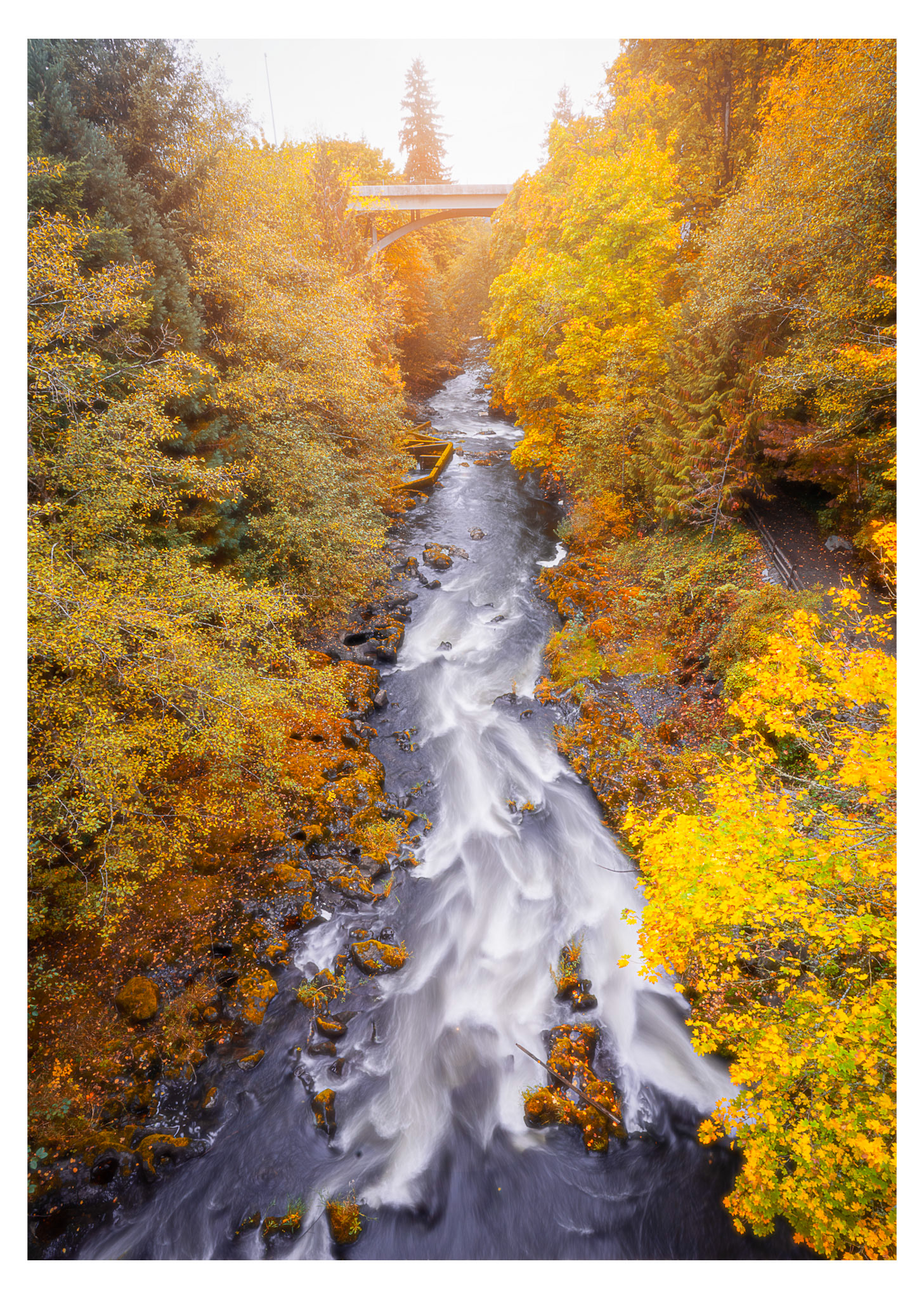Tumwater Fall