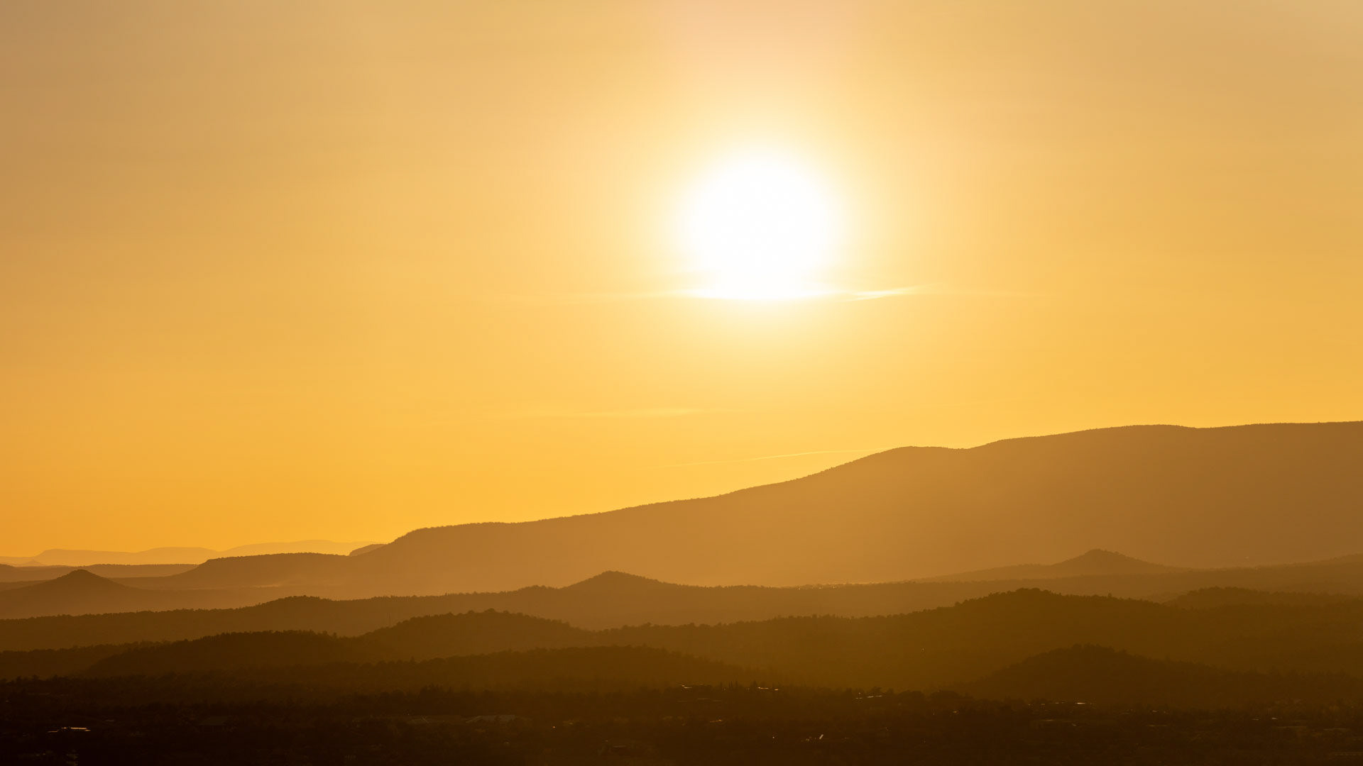 Desert Sun