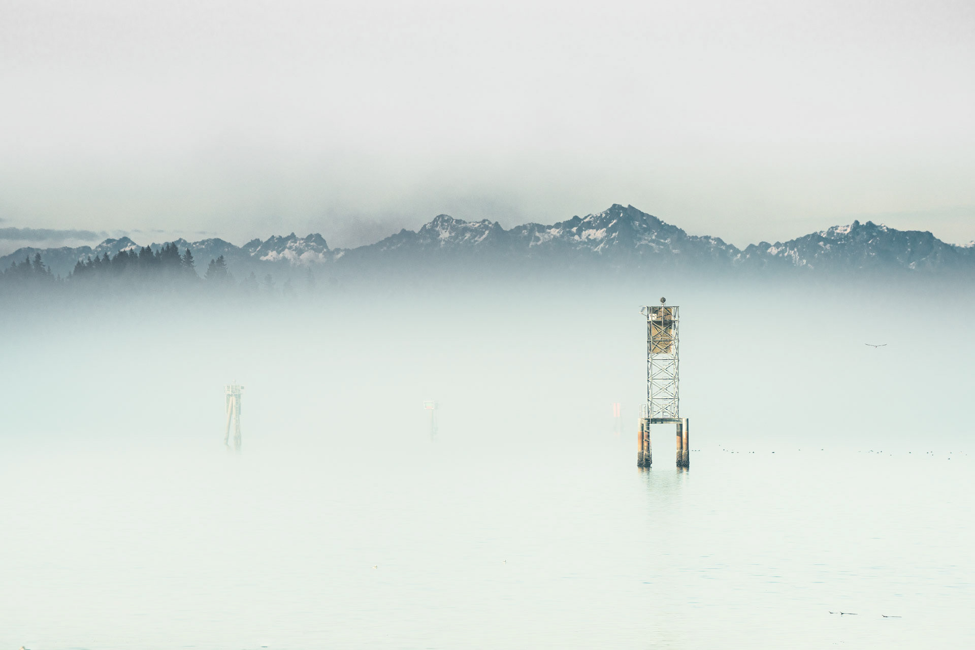 Foggy Sound