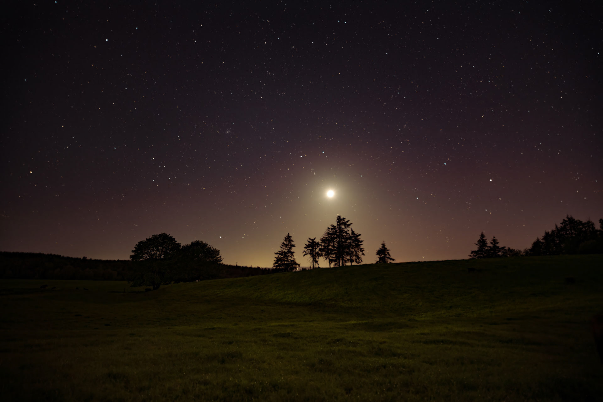 Summer Night
