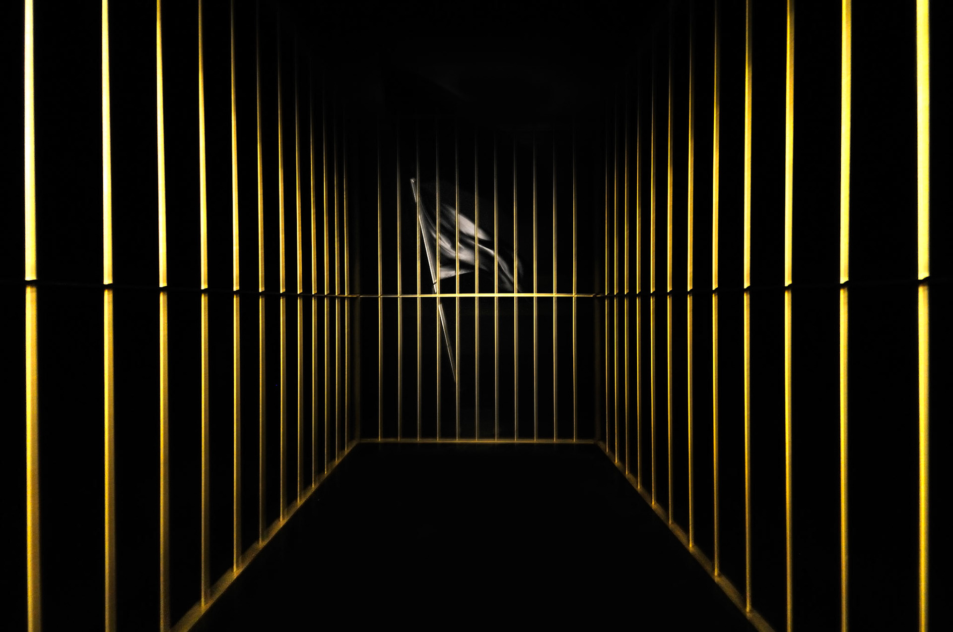 Claude Lévêque • Le Grand Soir, 53° Biennale di Venezia, 2009