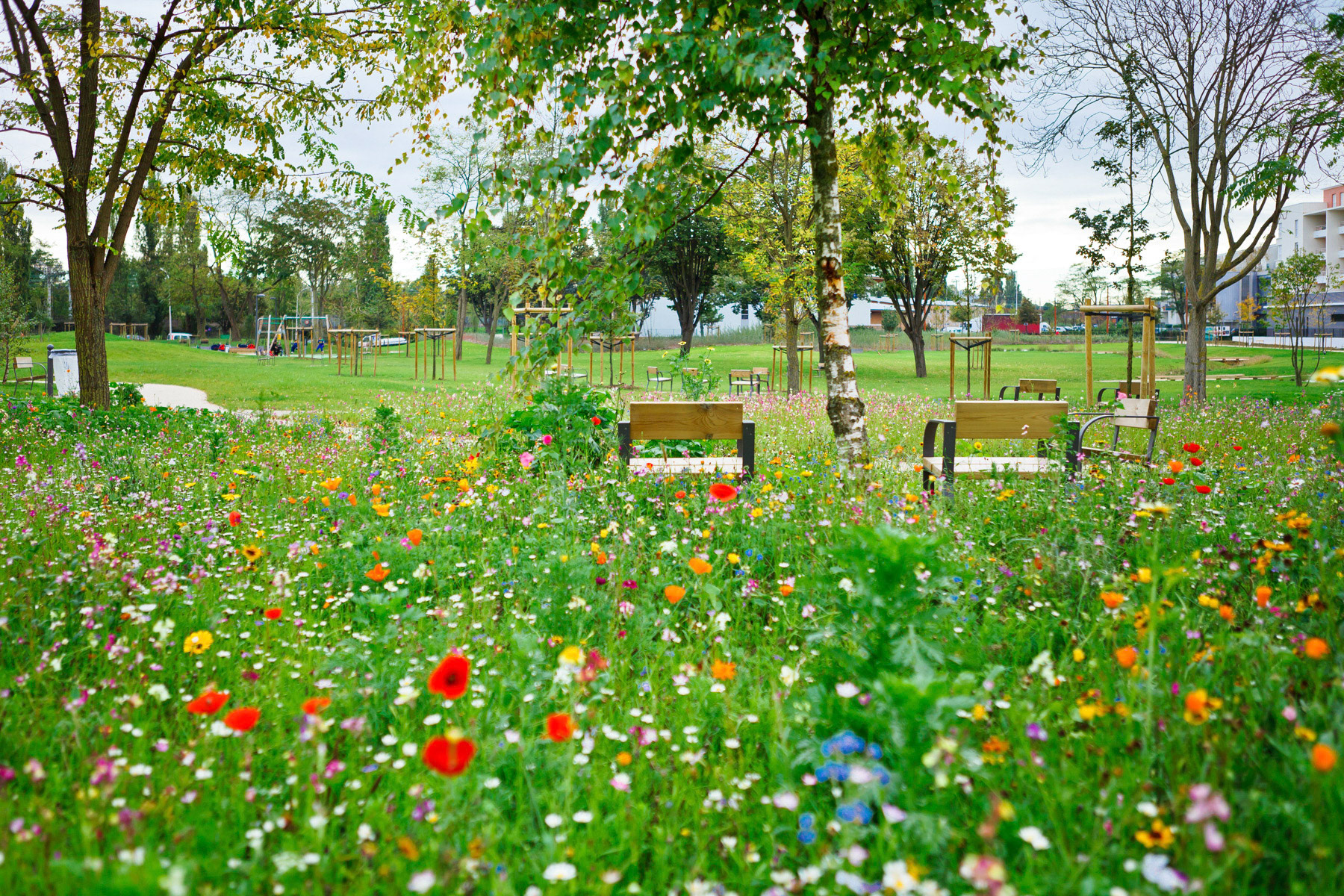 Parc Mermoz, Orly • Florence Mercier Paysagiste
