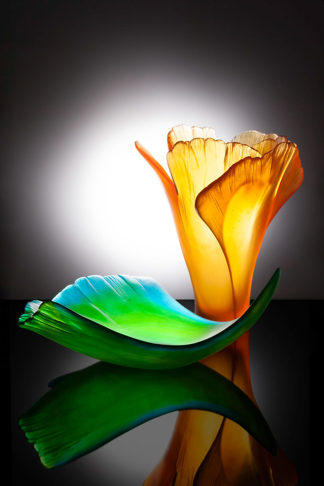 Daum • Collection Ginkgo