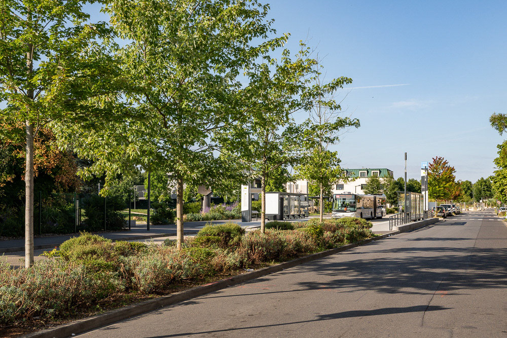 Grigny - Grigny Coeur de Ville