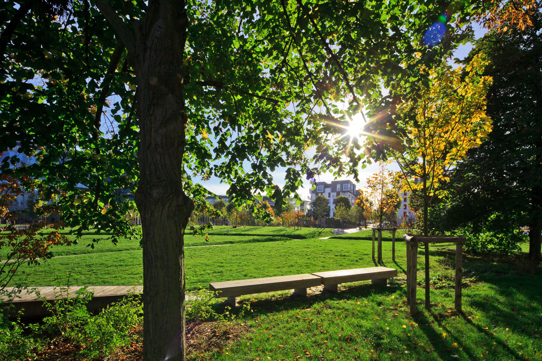 Parc Ampère, Massy • Florence Mercier Paysagiste