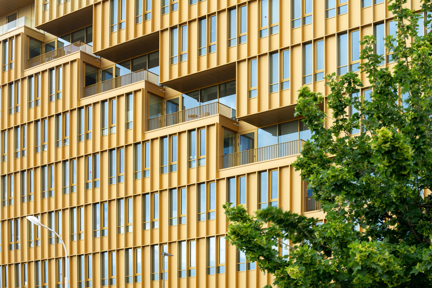 SCAU • Unity, Nice