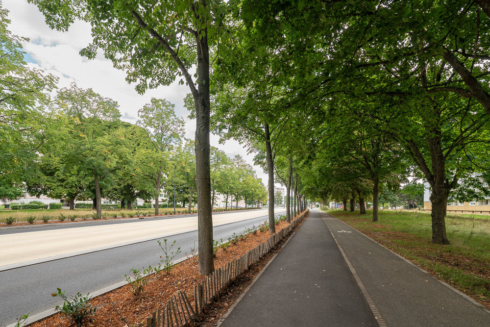 Ris Orangis - Auguste Plat