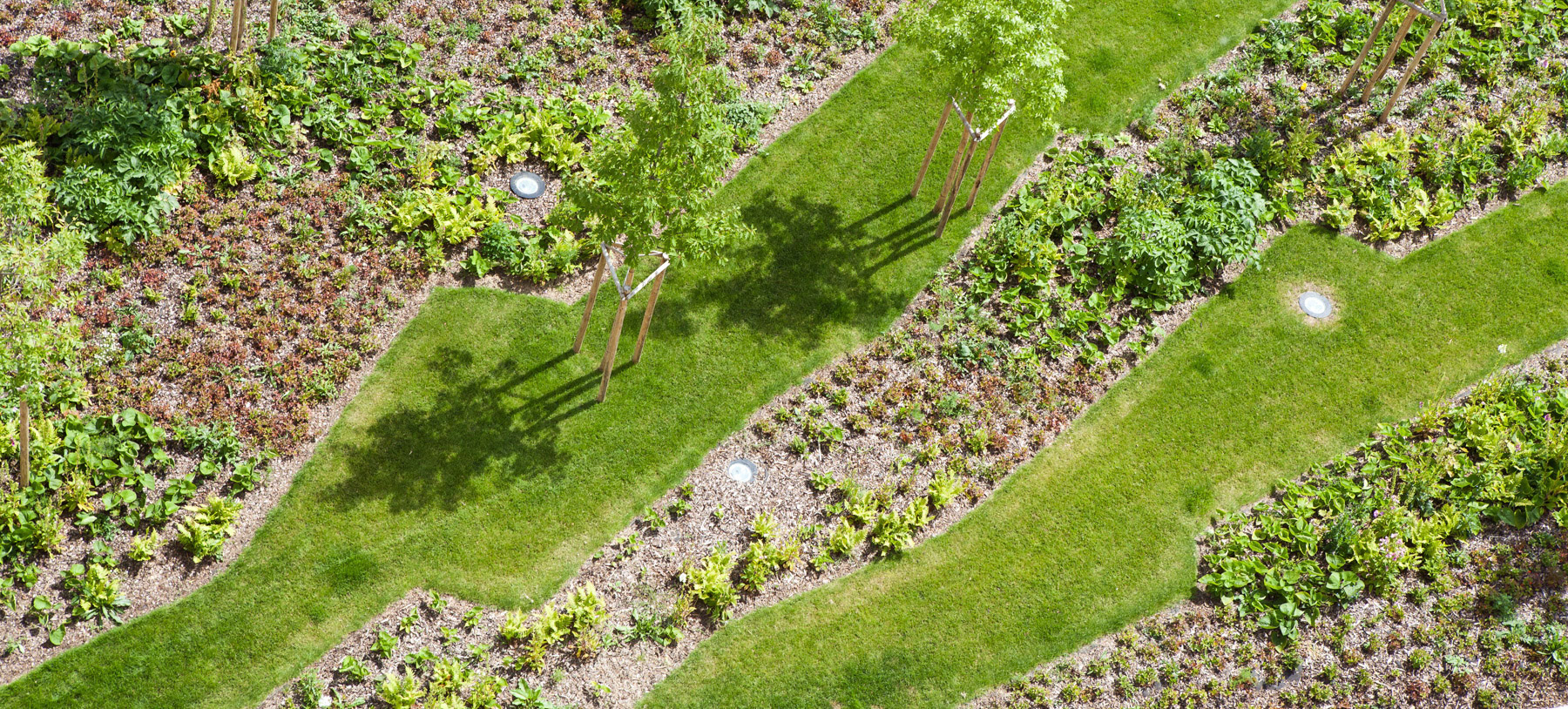 Place Mazelle, Metz • Florence Mercier Paysagiste