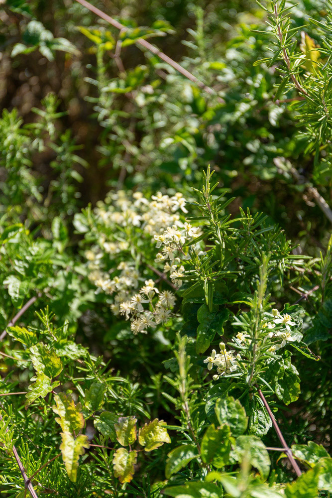 Corbeil-Essonnes - Montagne des Glaises