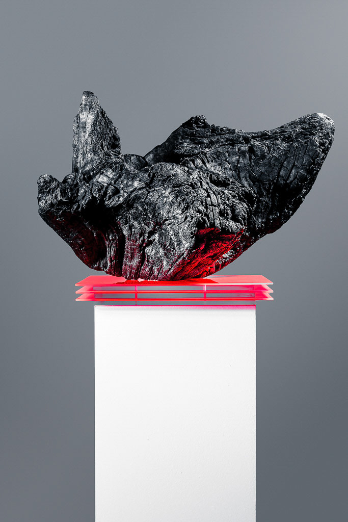 Meteorite