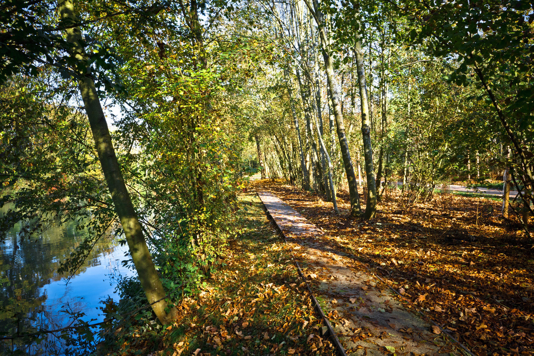 Bords de Marne Val Maubuée • Florence Mercier Paysagiste