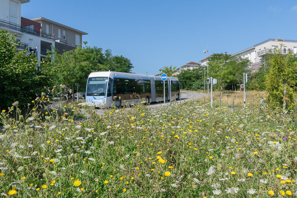 Corbeil-Essonnes - Montagne des Glaises