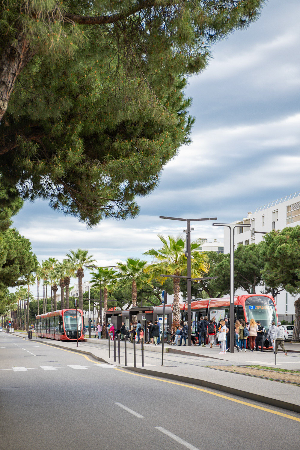 Tramway Grand Arénas Nice Méridia