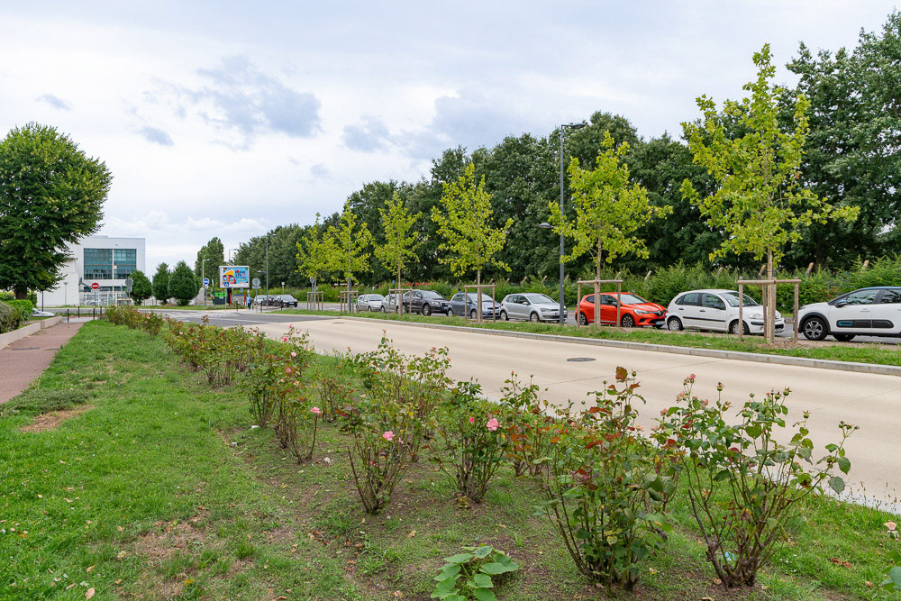 Evry-Courcouronnes - Temps des Cerises