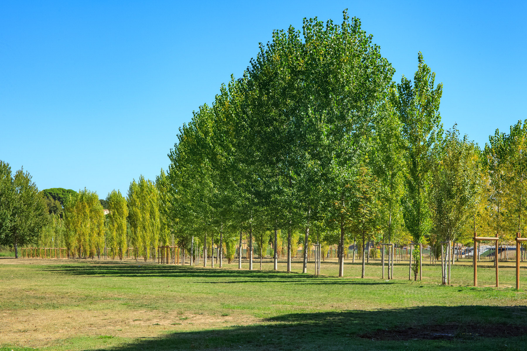 Parc Marianne,  Montpellier • A.S. Architecture-Studio