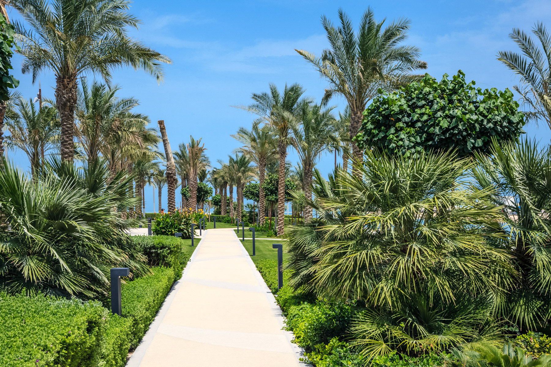 Aménagement paysager des espaces publics, Lusail, Qatar • AS. Architecture-Studio / Michel Desvigne Paysagiste