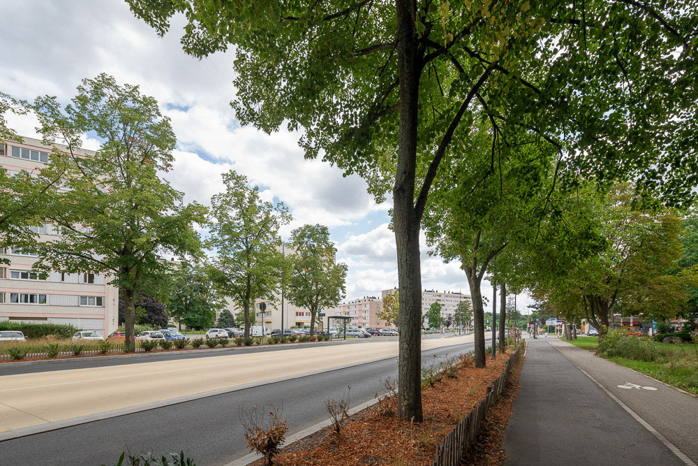 Ris Orangis - Auguste Plat