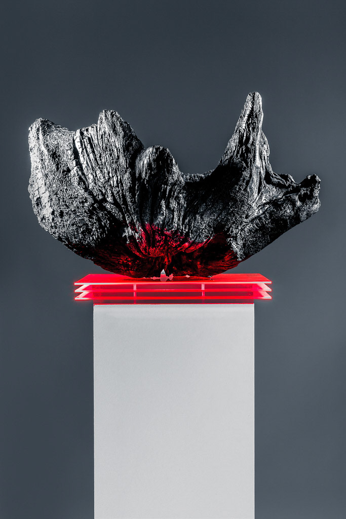 Meteorite