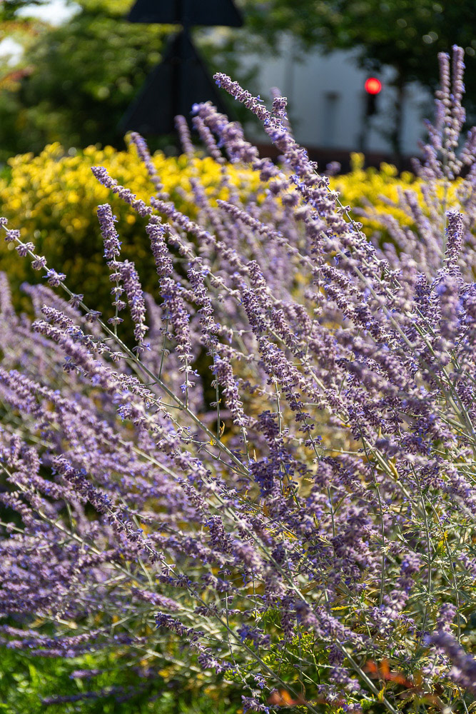 Corbeil-Essonnes - Montagne des Glaises