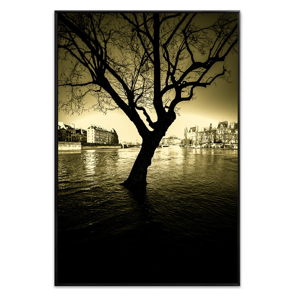 Paris under water